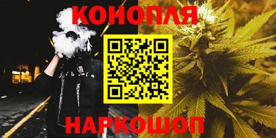 бошки Гагарин