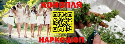 бошки Гагарин