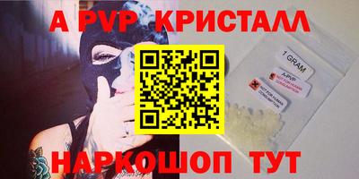 бошки Гагарин