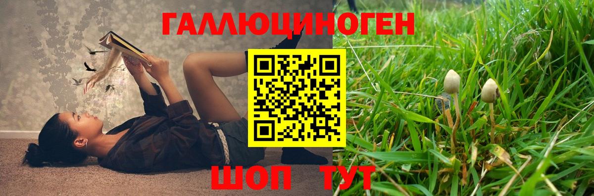 Псилоцибиновые грибы мицелий  Вход с VPN  Галлюциногенные грибы Cubensis  Надым 